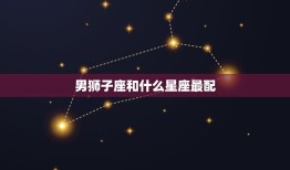 男狮子座和什么星座最配(匹配的星座组合)