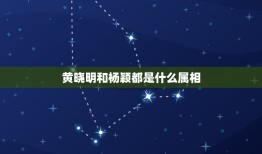 黄晓明和杨颖都是什么属相，angelababy属什么生肖