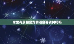 家里有属相是龙的适合养铁树吗吗，属兔子的属龙的为什么不能养铁树