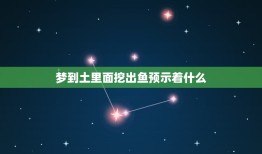 梦到土里面挖出鱼预示着什么，梦见土里挖出鱼