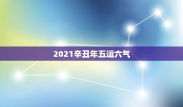 2021辛丑年五运六气，辛丑年2021犯太岁的生肖