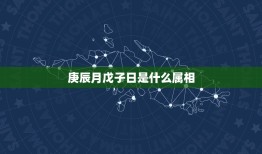 庚辰月戊子日是什么属相，八字： 庚辰 年 戊子 月 庚子 日 甲申 时