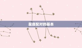 为什么属狗和属鼠不合(介绍星座配对的奥秘)