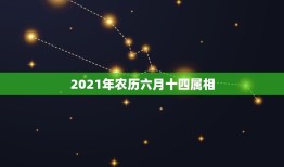 2021年农历六月十四属相，2021年最吉利的四大属相