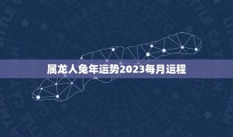 属龙人兔年运势2023每月运程(详解幸运之年步步高升)