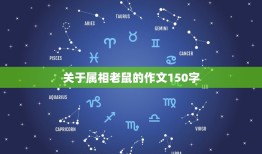 关于属相老鼠的作文150字，致亲爱的老鼠作文300字