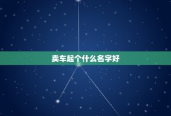 卖车起个什么名字好，我是做二手车的起什么名字比较大气又好记