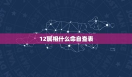 12属相什么命自查表(快速了解你的命运)