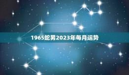 1965蛇男2023年每月运势(全年财运旺盛事业稳步上升)