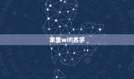 家里wifi名字，家里WiFi用什么名字好