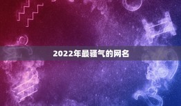 2022年最骚气的网名，2021更流行洋气网名