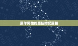 属羊男性的最佳婚配属相，男属羊最佳配偶属什么？