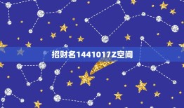 招财名1441017Z空间，冀z69282是谁的车主