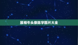 属相牛头像陈字图片大全，我想用陈字繁体字做微信头像？