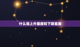 怎么查上升星座下降星座(轻松掌握自己的命盘)