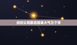 纺织公司取名简单大气三个字，取3个字或4个字的朗朗上口的公司名字关于纺