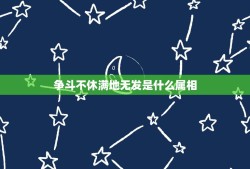 争斗不休满地无发是什么属相，不达目的不罢休什么生肖？