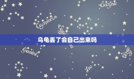 乌龟丢了会自己出来吗，乌龟在家跑丢了怎么才能让他出来