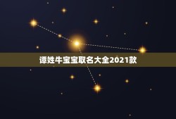 谭姓牛宝宝取名大全2021款，2021年属牛的男孩叫什么名字