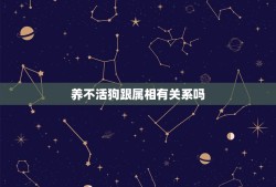 养不活狗跟属相有关系吗，我老公属狗的，我很爱养狗，跟他一起养就养不活的