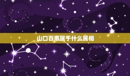 山口百惠属于什么属相，刘慧琳属于哪个生肖属相