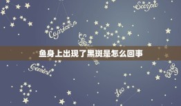 鱼身上出现了黑斑是怎么回事，鱼身上长黑斑死去是什么原因