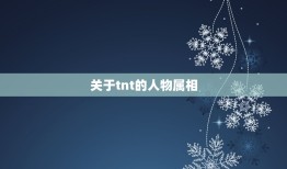 关于tnt的人物属相，TNT人物后面的那个圈是怎么搞的