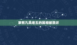 家有九凤老五的属相被蒸坏，问大家一个关于《家有九凤》的问题