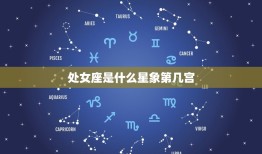 处女座是什么星象第几宫(介绍星座宫位秘密)