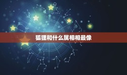 狐狸和什么属相相最像，狐狸像十二生肖的那一个