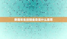 癸酉年生剑锋金命是什么意思，癸酉年生剑锋金命 本人93年正月初十上午8