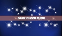 尊容常见挂堂中的属相，尊容常见挂堂中，牛鬼蛇神怕其中猜一生肖