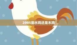 2005是水鸡还是木鸡(揭秘十二生肖中的谜团)