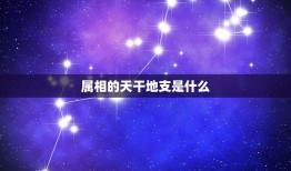 属相的天干地支是什么，12生肖是什么？天干地支是什么？