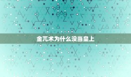 金兀术为什么没当皇上，如何评价金兀术？