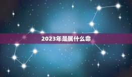 2023年是属什么命(探寻属相对命的秘密)