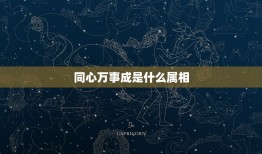 同心万事成是什么属相，同心协力万事成打一生肖