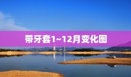 带牙套1~12月变化图，牙套九个月变化图，大家帮忙看下我的情况，很迷茫