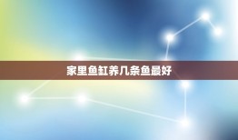 家里鱼缸养几条鱼最好，鱼缸里里养几条鱼最好？