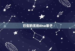 已生的无创dna单子，无创DNA结果看男女