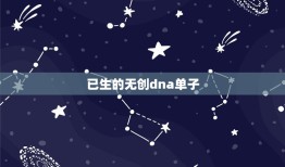 已生的无创dna单子，无创DNA结果看男女