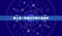 爱上是一种缘分不爱只是缘尽，缘起缘灭皆是缘下句是什么