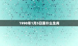 1990年1月5日属什么生肖，我是农历93年1月5日，那我属于什么生肖