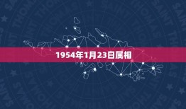 1954年1月23日属相，1954年出生属什么生肖