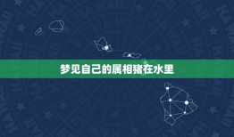 梦见自己的属相猪在水里，晚上做梦梦见孔翠的猪子在水里我们去那好不好