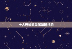 十大元帅都是属啥属相的，十大元帅属什么的几几年年生的