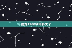 属龙1988今年多大了，2019年88年今年多大