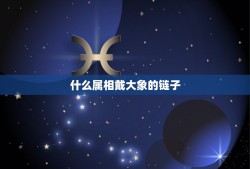 什么属相戴大象的链子，在身上佩戴大象吊坠的意义……有什么要注意的