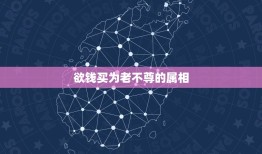 欲钱买为老不尊的属相，为老不尊比喻什么生肖？