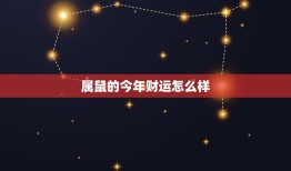 属鼠的今年财运怎么样(2023年属鼠人的财富运势大介绍)